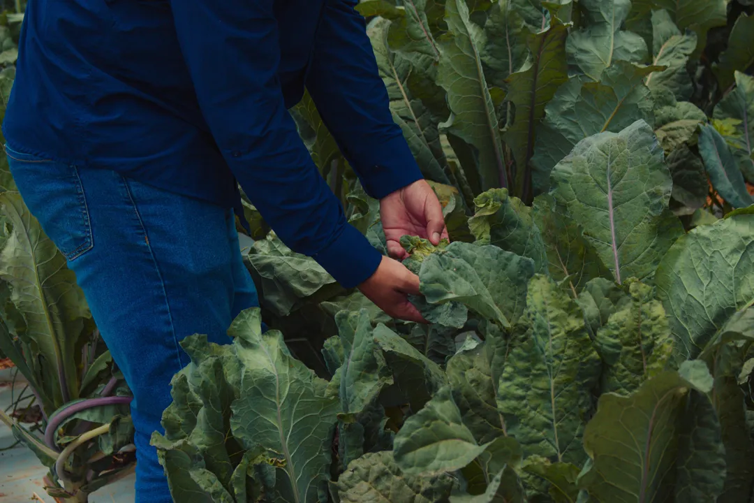 Smart Agro reúne empresas de tecnologia com soluções aplicadas ao agro no Pavilhão